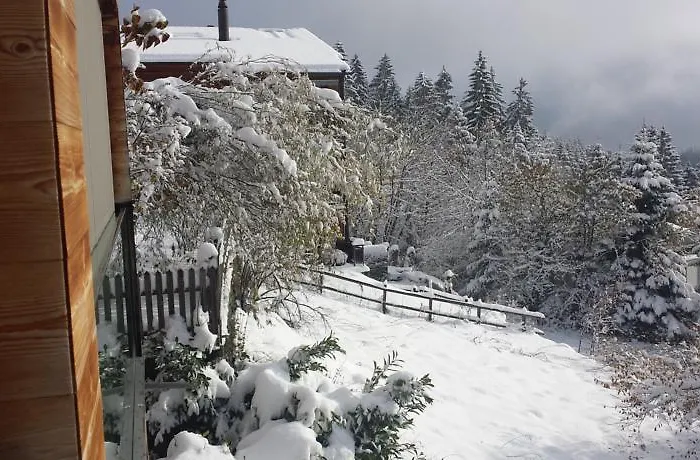 Casa Fluras Appartement Flims