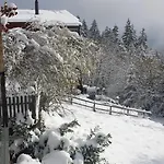 Casa Fluras Apartman Flims