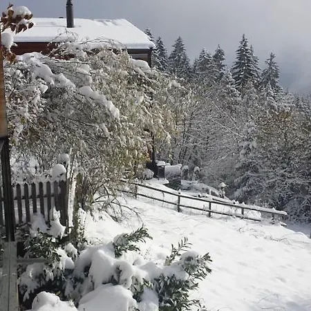 Casa Fluras Апартаменты Флимс